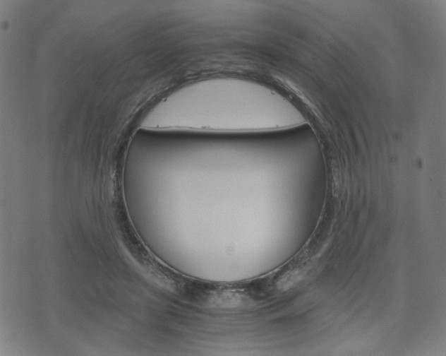X0000075890451200609151030