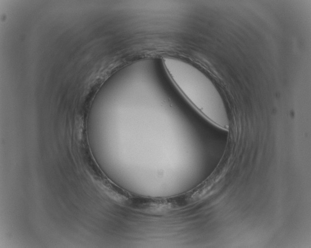 X0000075890458200609151030