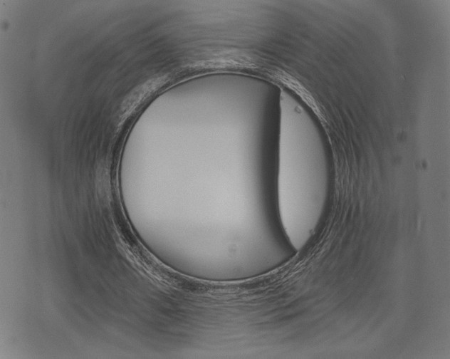 X0000075890482200609151030
