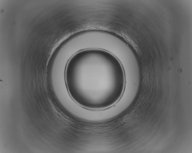 X0000075890488200609151030