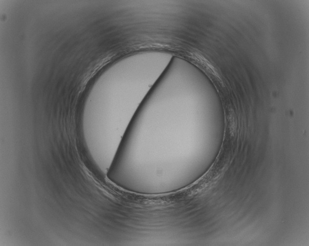 X0000075890490200609151030
