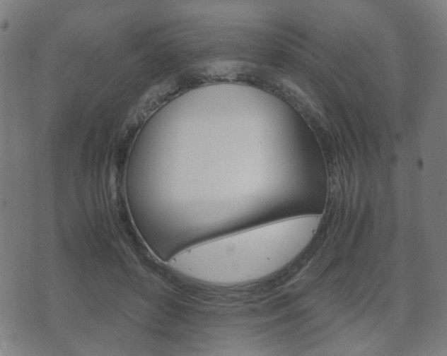 X0000075890504200609151030