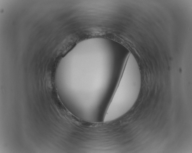 X0000075890512200609151029
