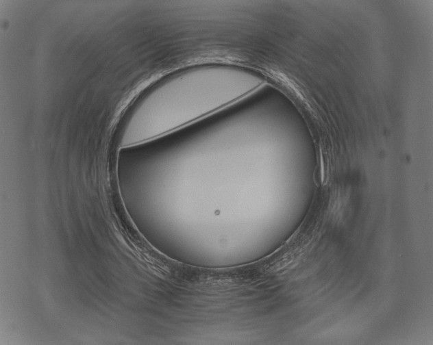 X0000075890531200609151028