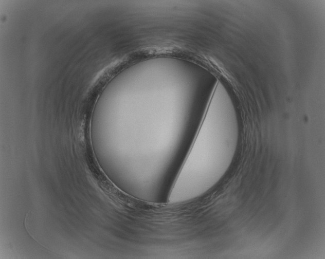 X0000075890543200609151029