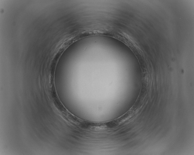 X0000075890548200609151029