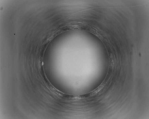 X0000075890562200609151029