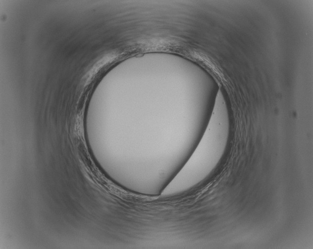 X0000075890583200609151028