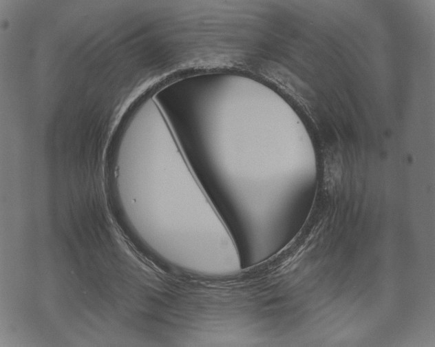 X0000075890584200609151028