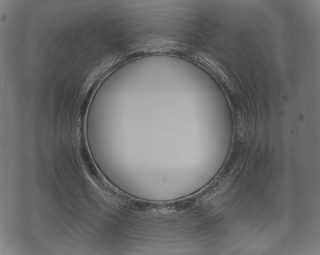 X0000075890586200609151028