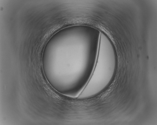 X0000075890673200609151027