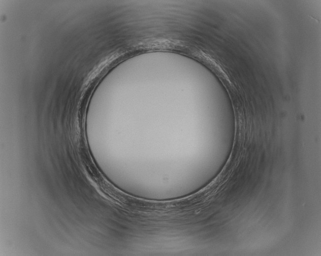 X0000075890674200609151027