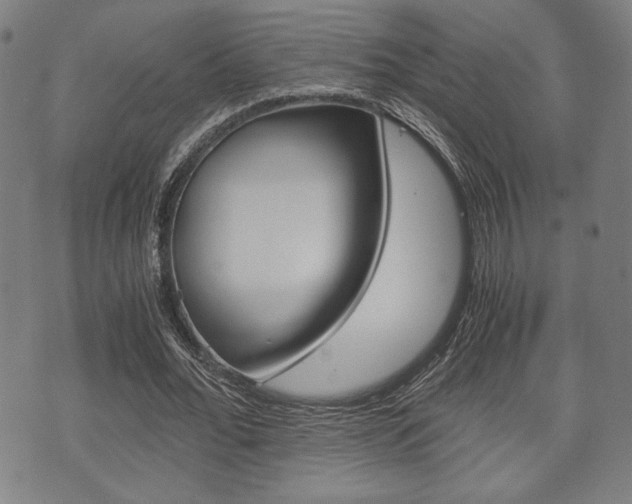 X0000075890676200609151027