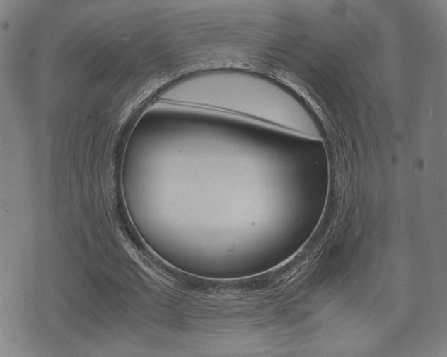 X0000075890677200609151027
