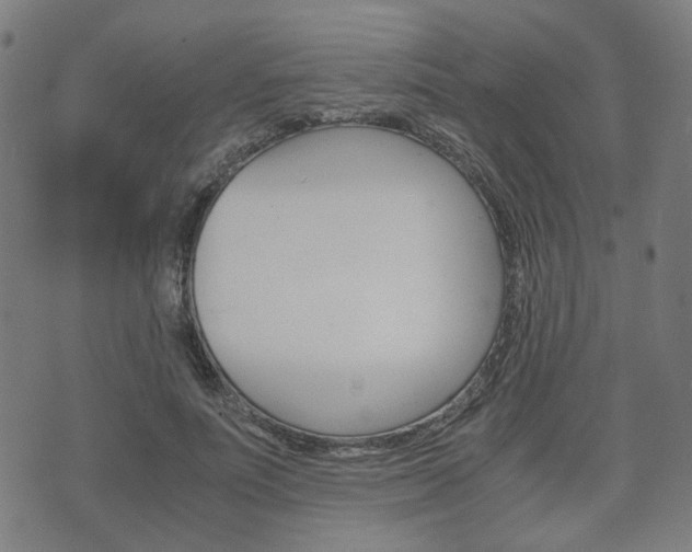 X0000075890691200609151026
