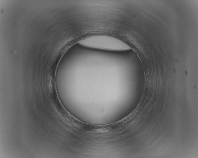 X0000075890692200609151026