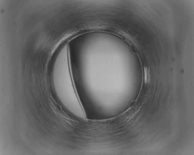 X0000075890723200609151025
