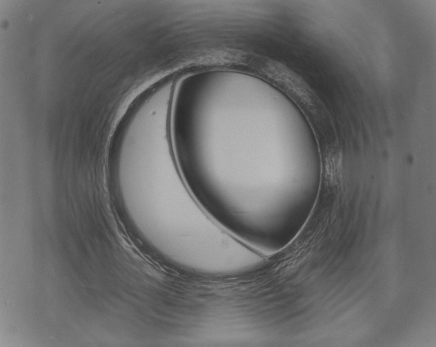 X0000075890724200609151025