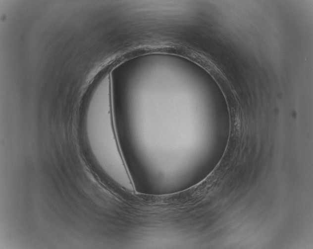 X0000075890732200609151025
