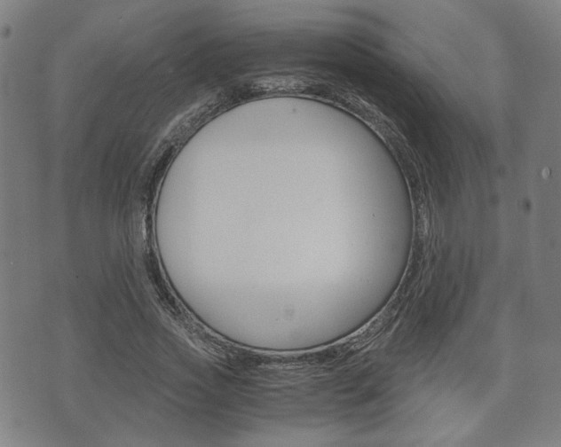 X0000075890733200609151025