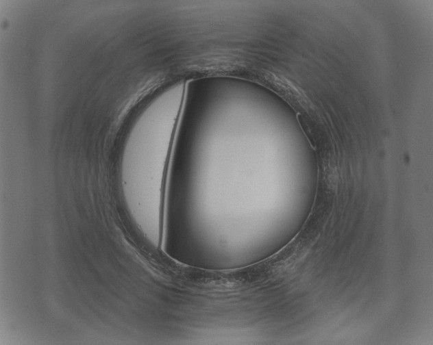 X0000075890735200609151025