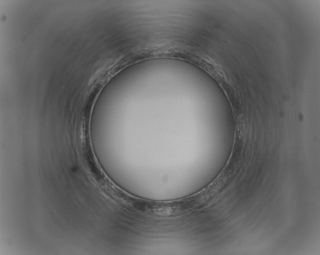 X0000075890740200609151026