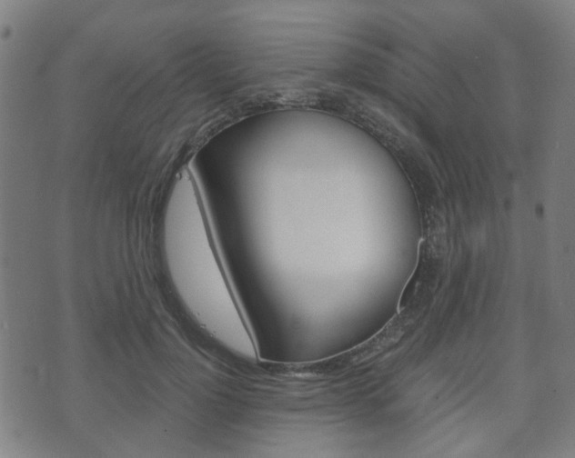 X0000075890748200609151026