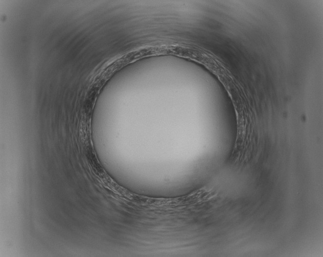 X0000075890773200609151025