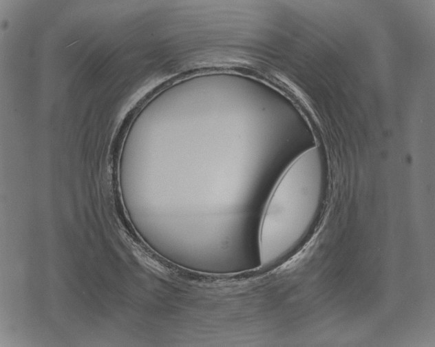 X0000075890779200609151025