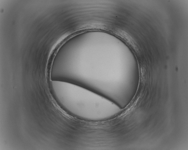 X0000075890780200609151025