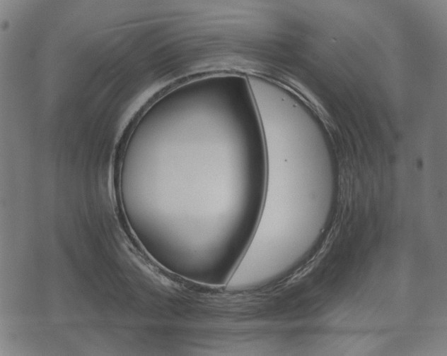 X0000075890788200609151025