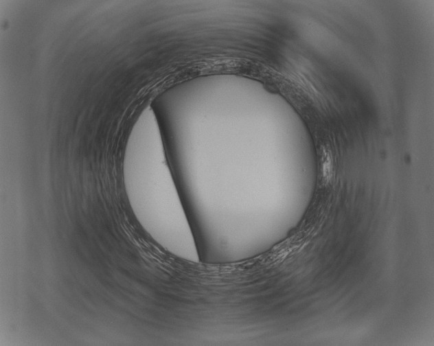 X0000075890819200609151024