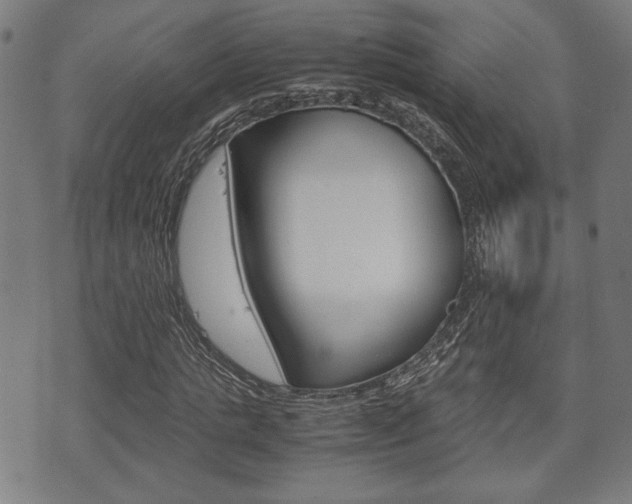 X0000075890821200609151024