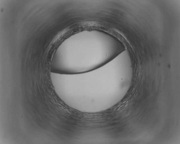 X0000075890823200609151024