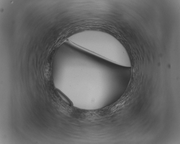 X0000075890867200609151024