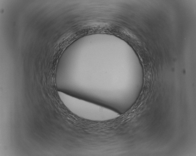 X0000075890869200609151024