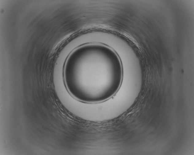X0000075890872200609151024