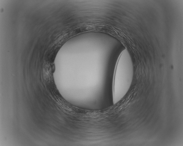 X0000075890914200609151022