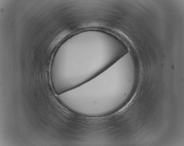 X0000075890921200609151022
