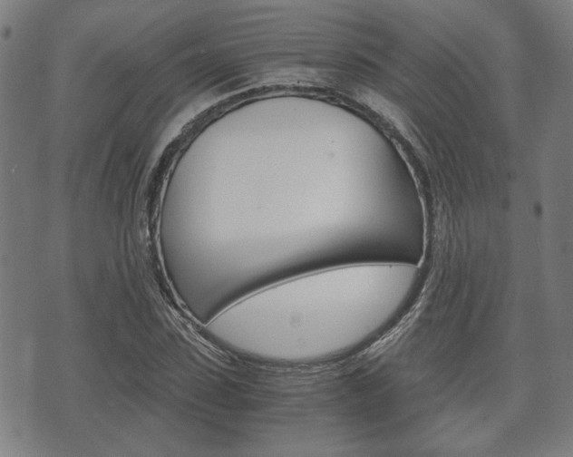 X0000075890923200609151022