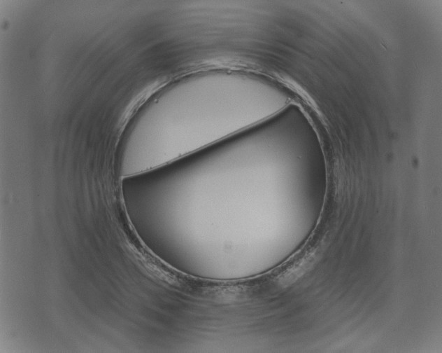 X0000075890930200609151022