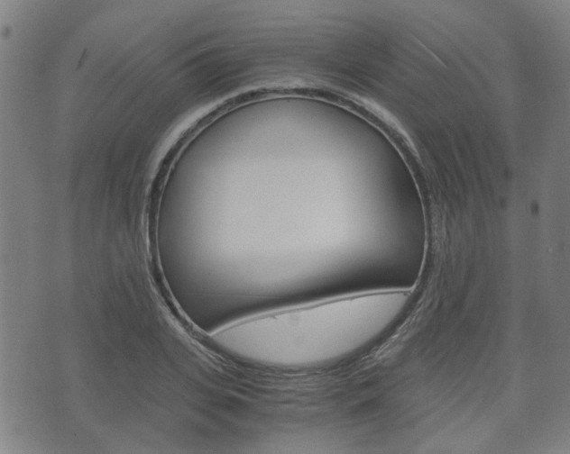 X0000075890935200609151022