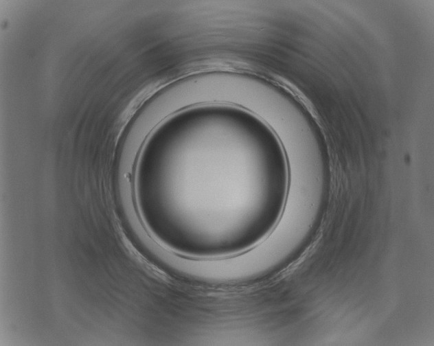 X0000075890938200609151023