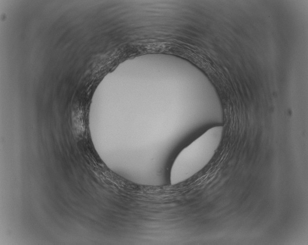 X0000075890962200609151022