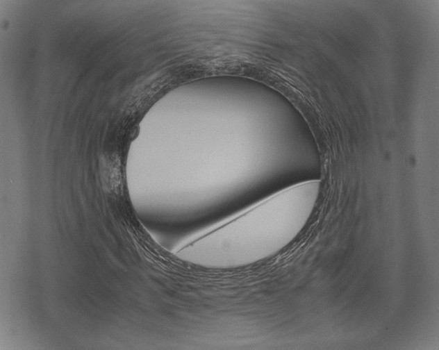 X0000075890963200609151022