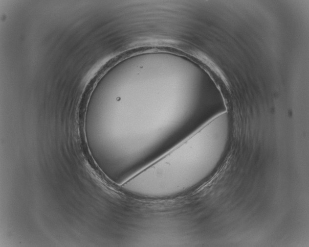 X0000075890972200609151022
