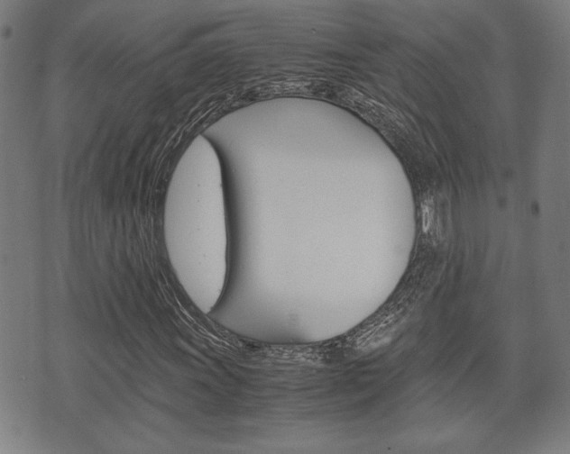 X0000075891011200609151021