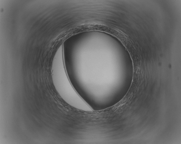 X0000075891014200609151021