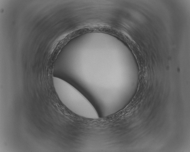 X0000075891016200609151021