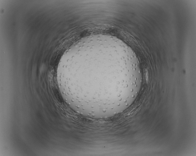 X0000075891059200609151021